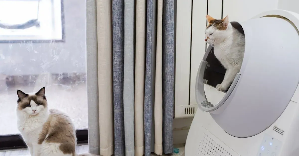 Smart Litter Boxes: Tech That Keeps Your Cat's Bathroom Clean